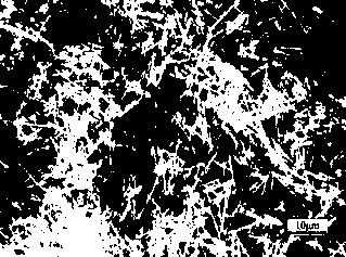 Controllable preparation method of monocrystal copper nanowires