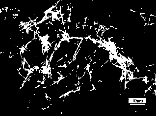 Controllable preparation method of monocrystal copper nanowires