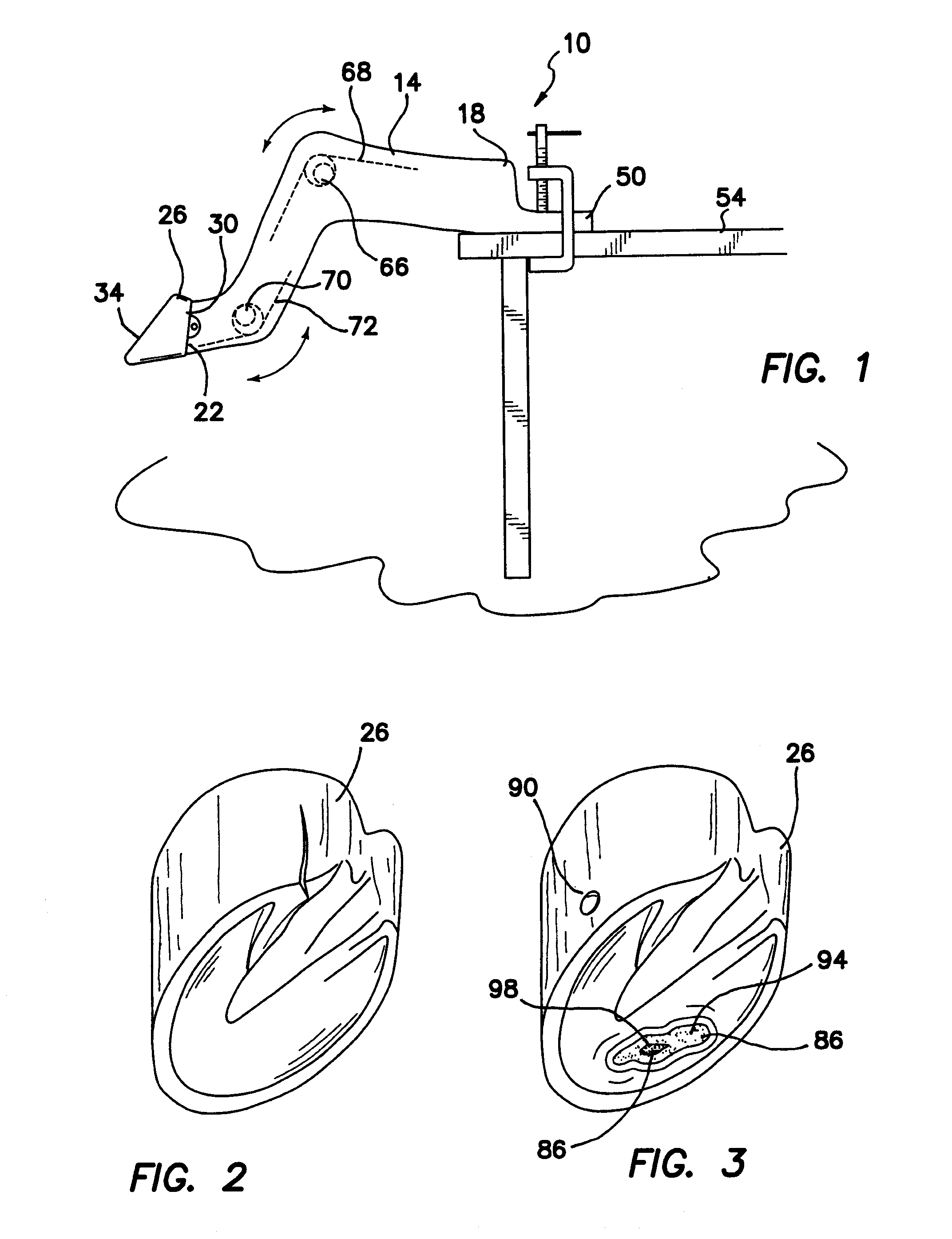 Farrier training system