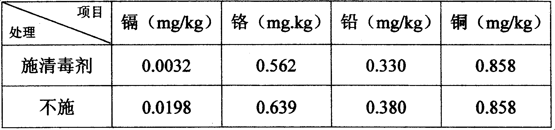 Soil environment biological disinfectant and preparation method thereof