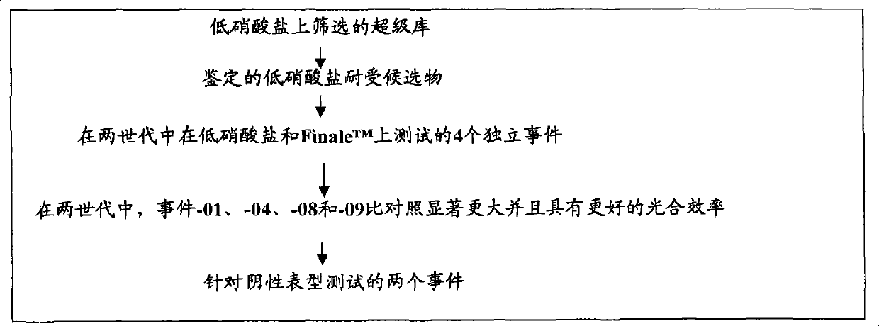 Nucleotide sequence and corresponding polypeptide for endowing plant with adjusted growth velocity and biomass