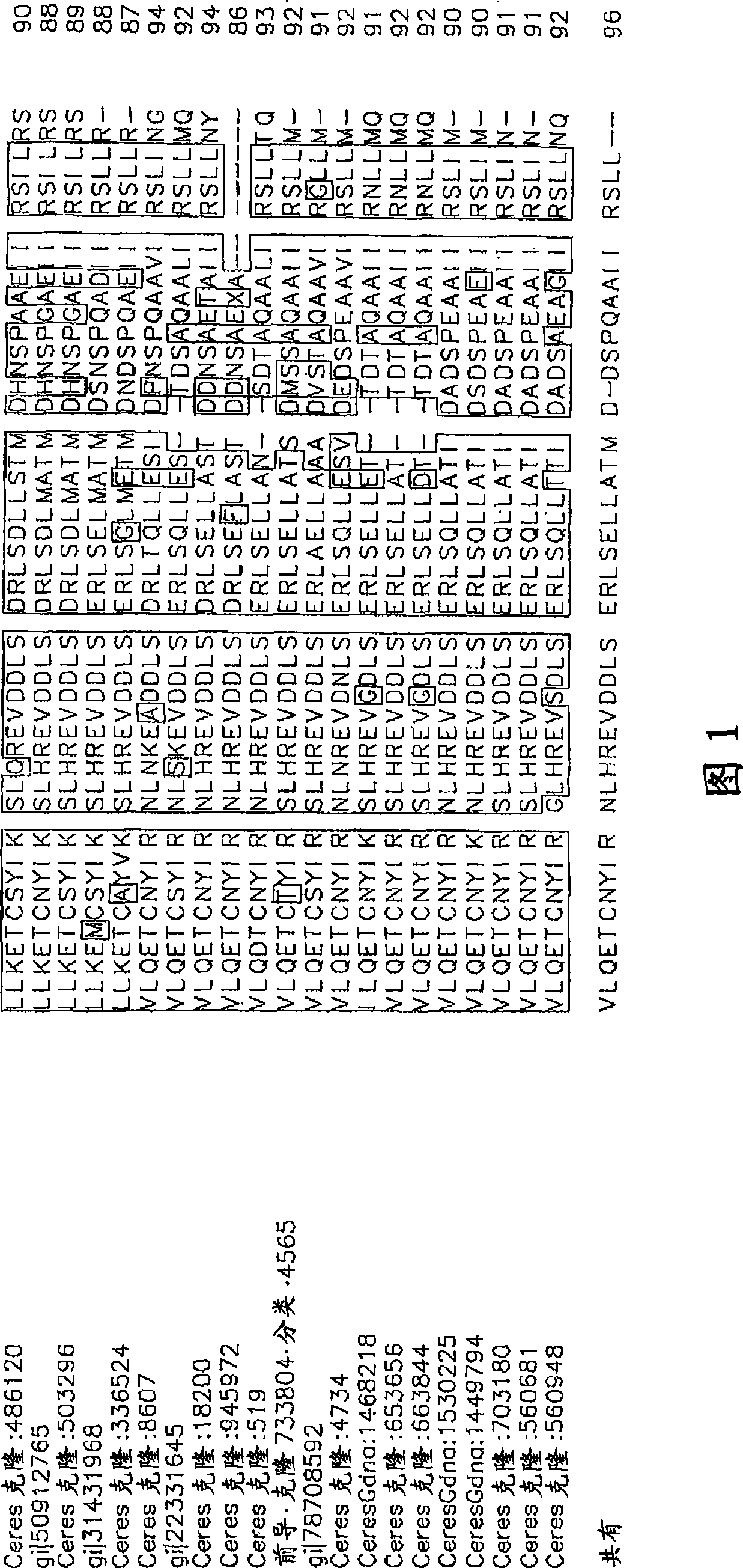 Nucleotide sequence and corresponding polypeptide for endowing plant with adjusted growth velocity and biomass