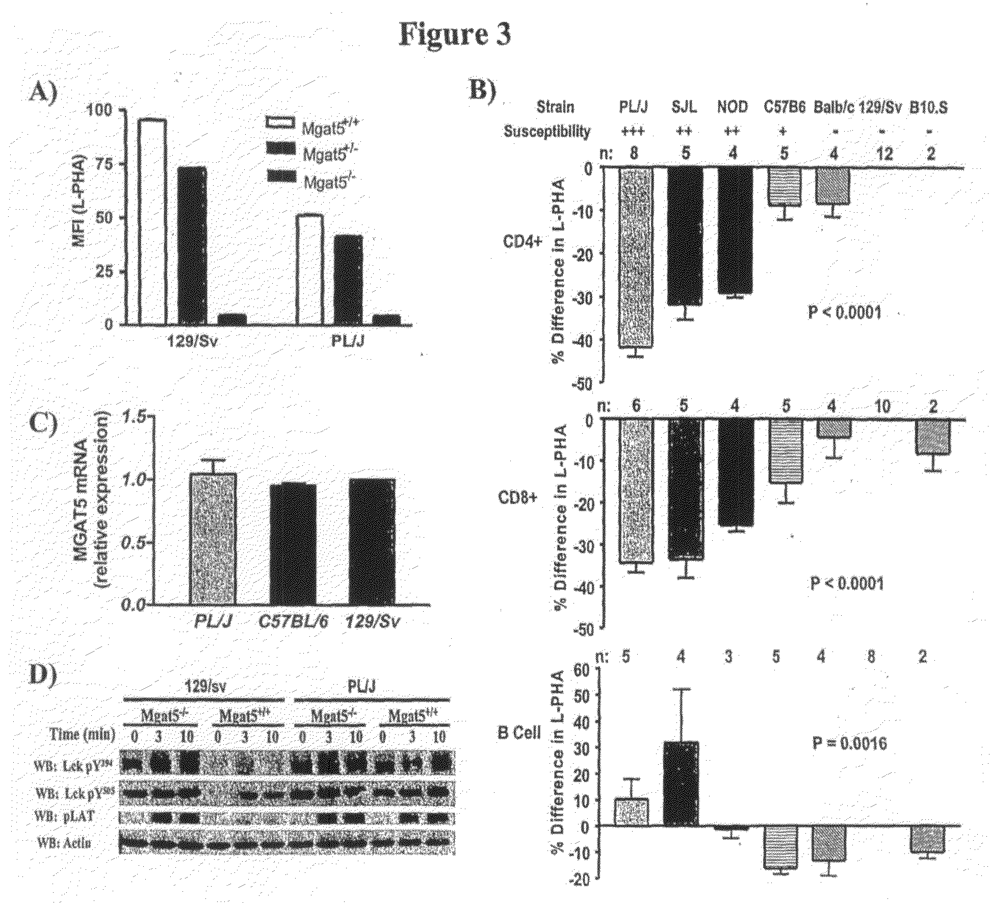 Methods and compositions for preventing and treating a disease related to glycan dysregulation