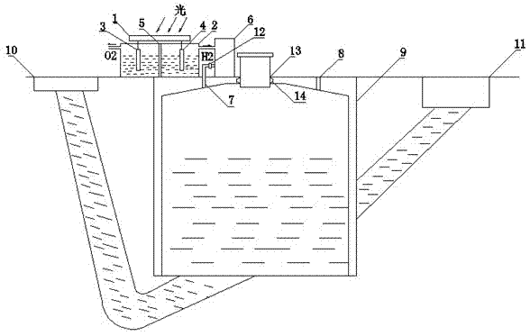 Solar energy hydrogen-biogas generation device