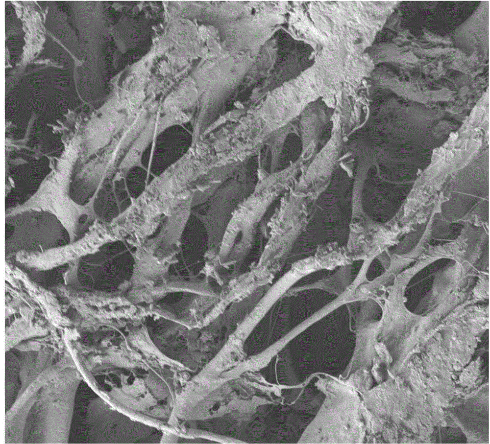 Acellular polysaccharide dermal matrix materials and production method and application thereof