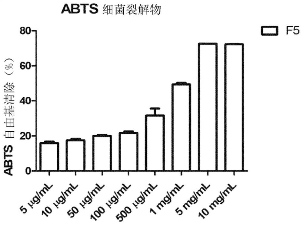 Novel bifidobacterium longum strain or cosmetic composition comprising same