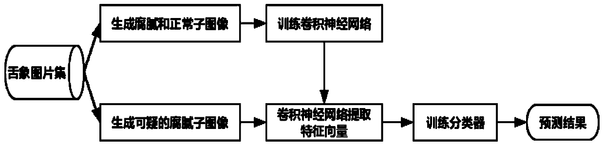 Curdy and greasy coating classification algorithm based on convolutional neural network