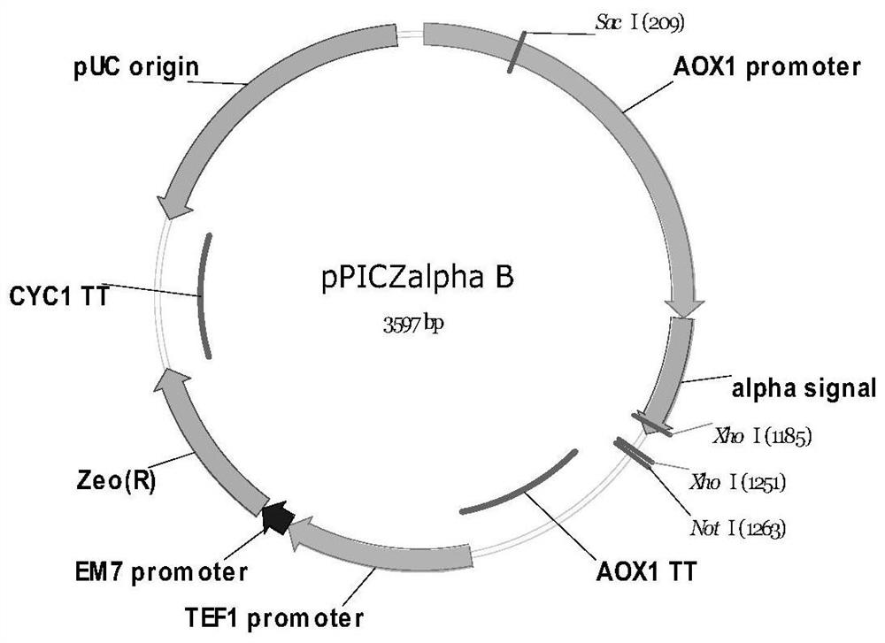 A vaccine against sars-cov-2