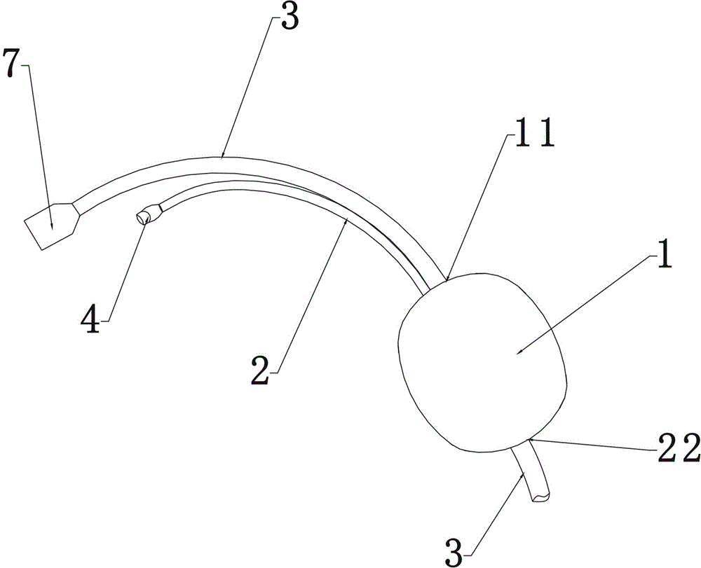 Antegrade aorta infusion tube having internal blocking function, application and usage method