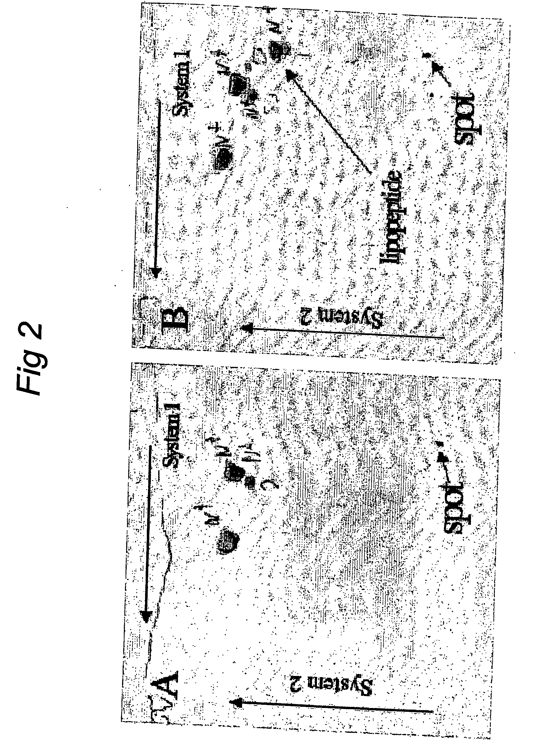 Functionallly reconstituted viral membranes containing adjuvant