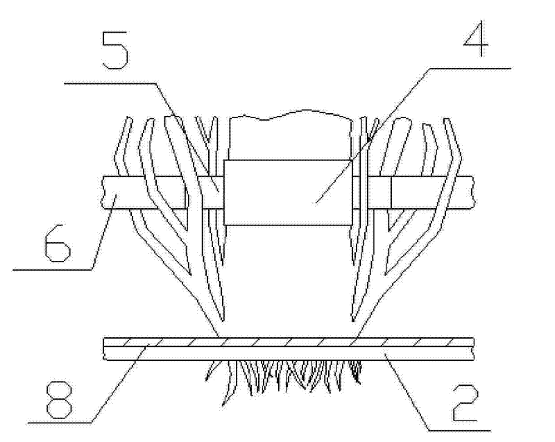 Method and device for promoting growth of plant of biological floating island