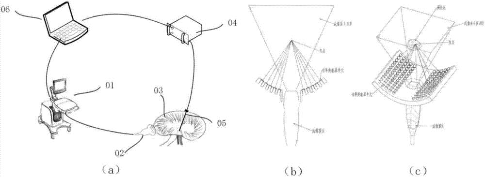 Ultrasonic method for measuring temperature change of biological tissue based on thermal expansion and gating algorithm