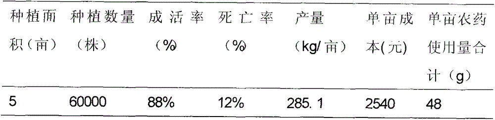 Under-forest wild-imitating planting method for polygonatumkingianum