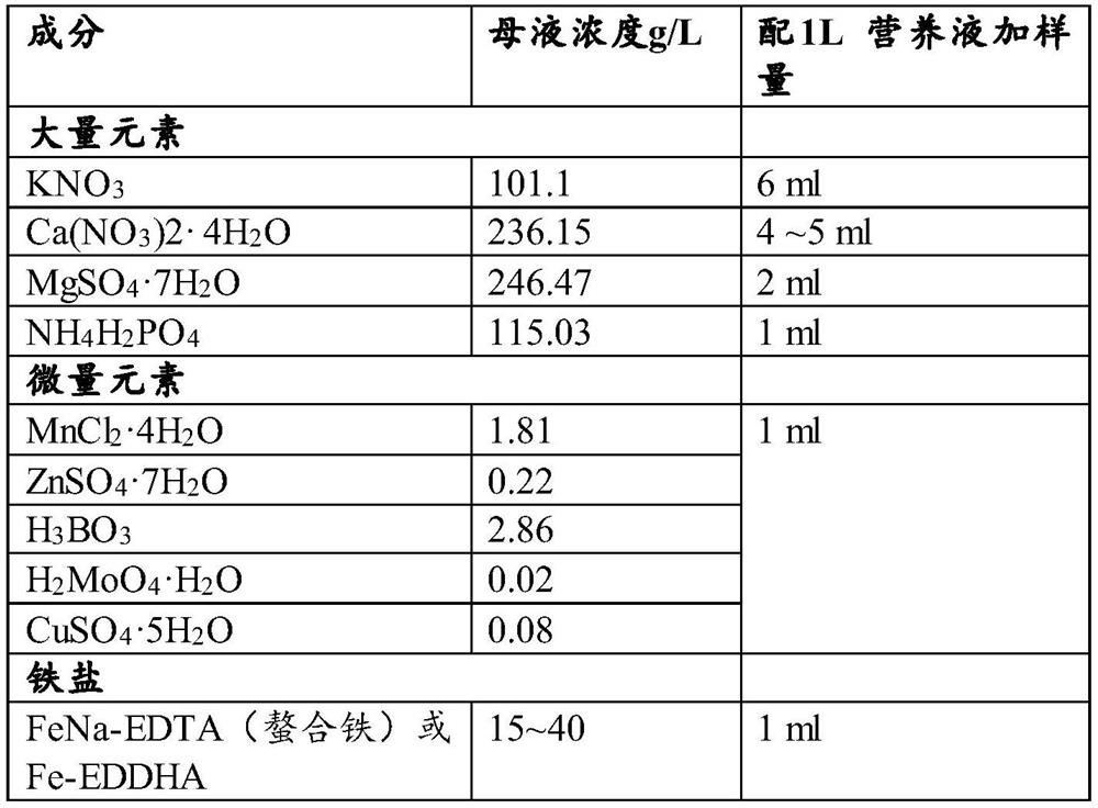 Tissue rapid propagation method of table grapes