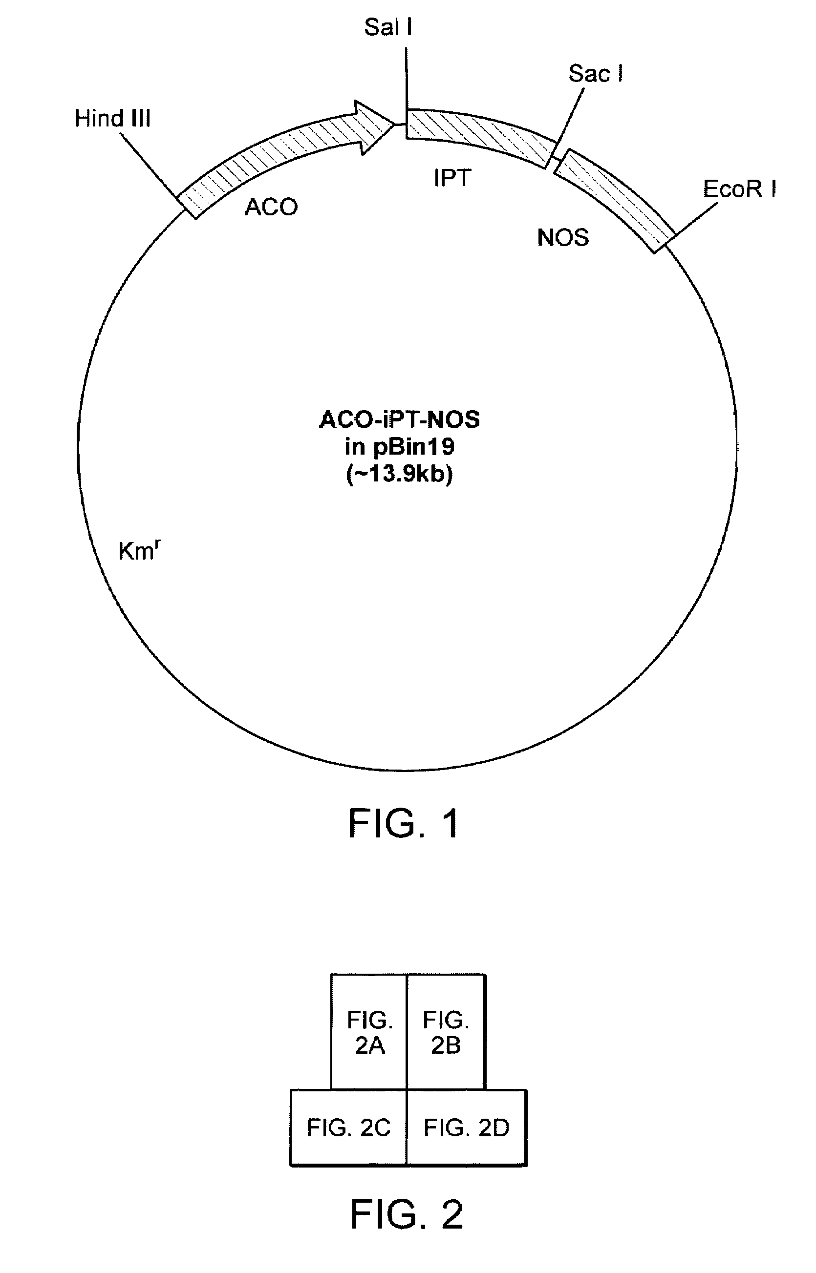 Method and composition for increasing branching and flowering response in plants