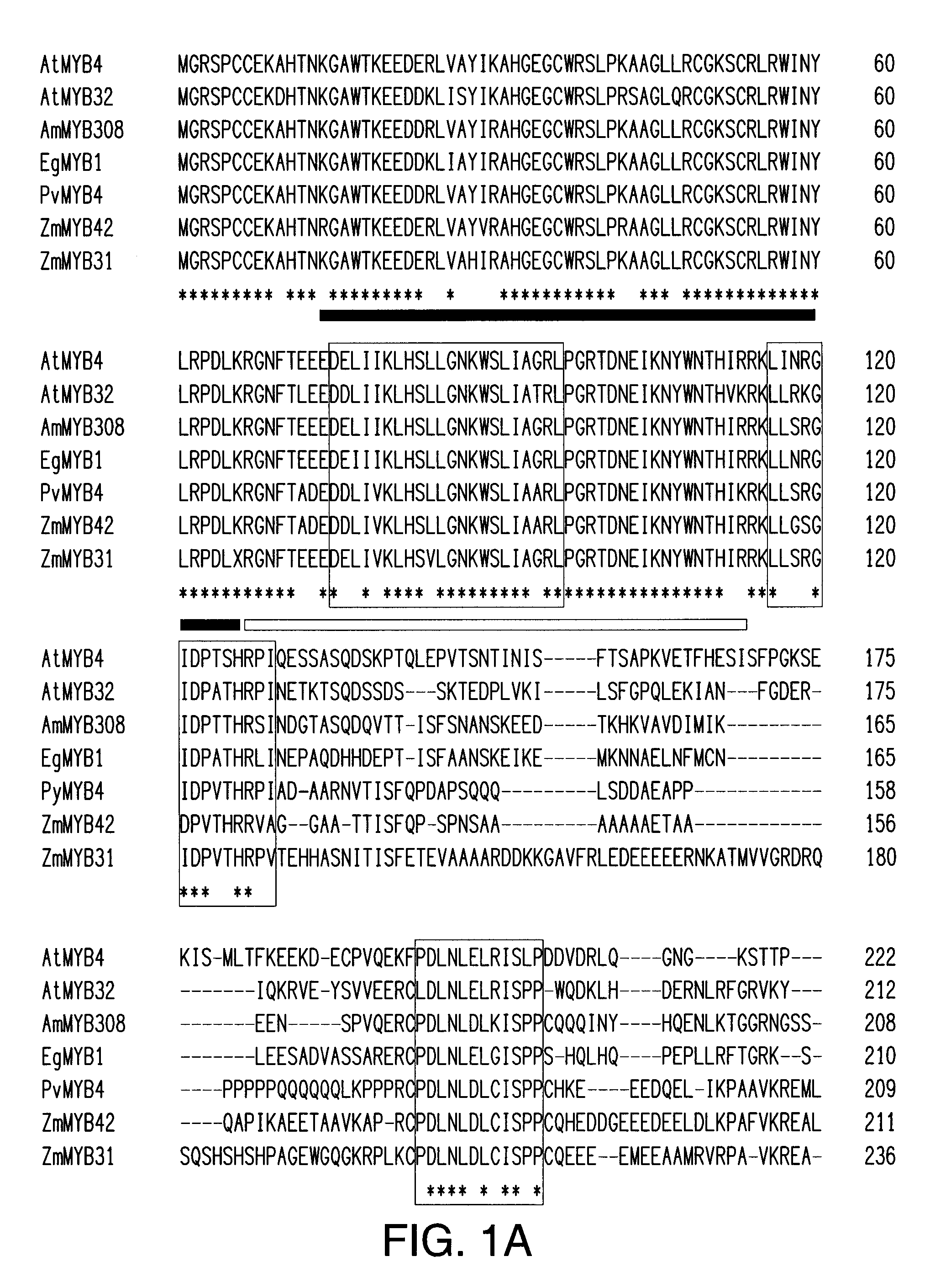 Compositions and methods for improved plant feedstock