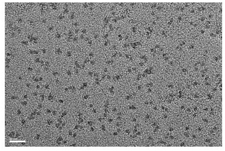 Near-infrared fluorescent magnetic Fe NCs dual-mode probe as well as synthesis method and application thereof