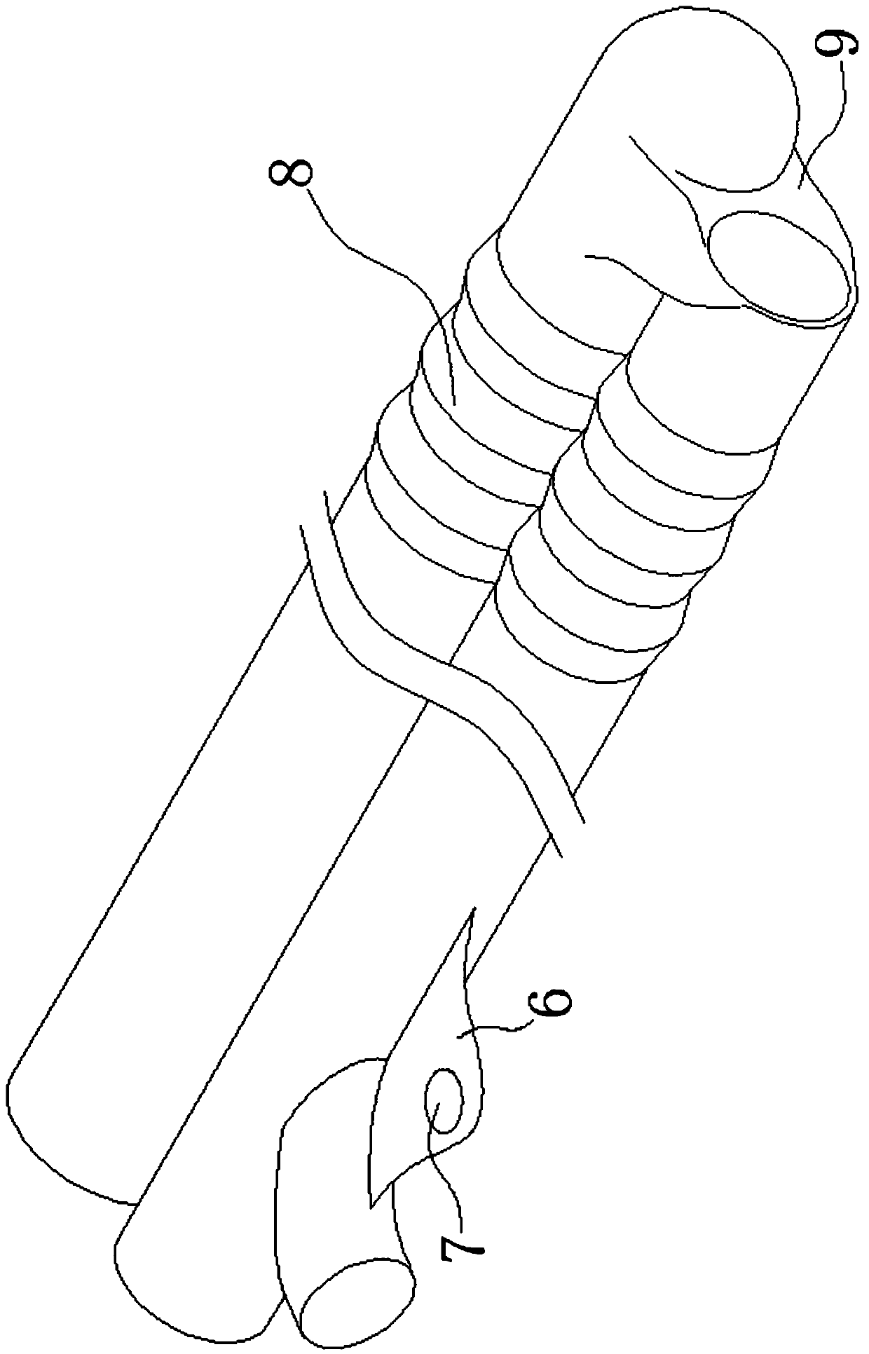 Endoscopic cannula and endoscope