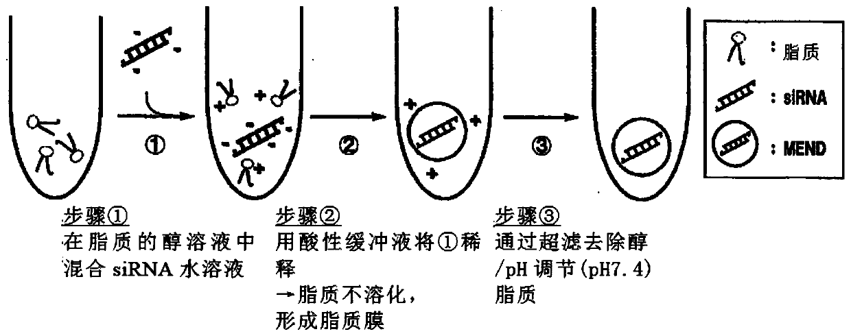 Lipid membrane structure for delivery into sirna cell