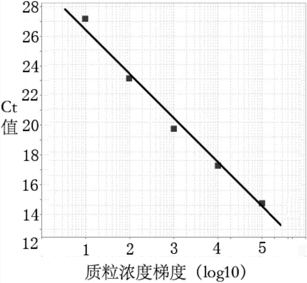 Real-time fluorescent LAMP detection primer group, kit and detection method of African swine fever virus non-structural gene