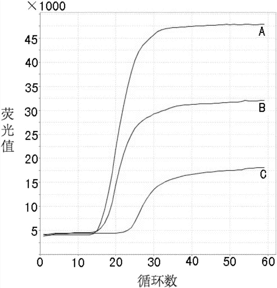 Real-time fluorescent LAMP detection primer group, kit and detection method of African swine fever virus non-structural gene