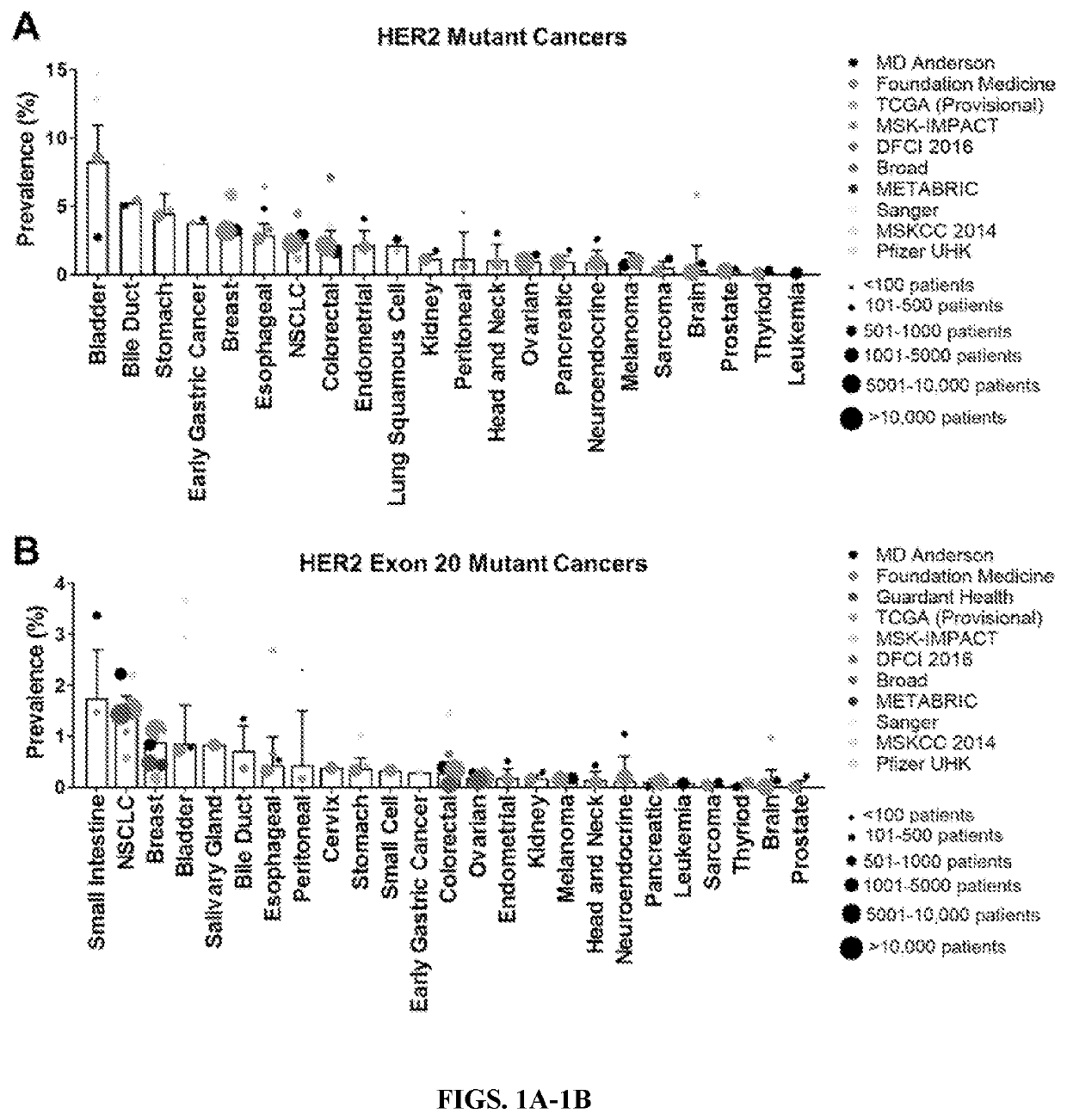 Compounds with Anti-tumor activity against cancer cells bearing her2 exon 21 insertions