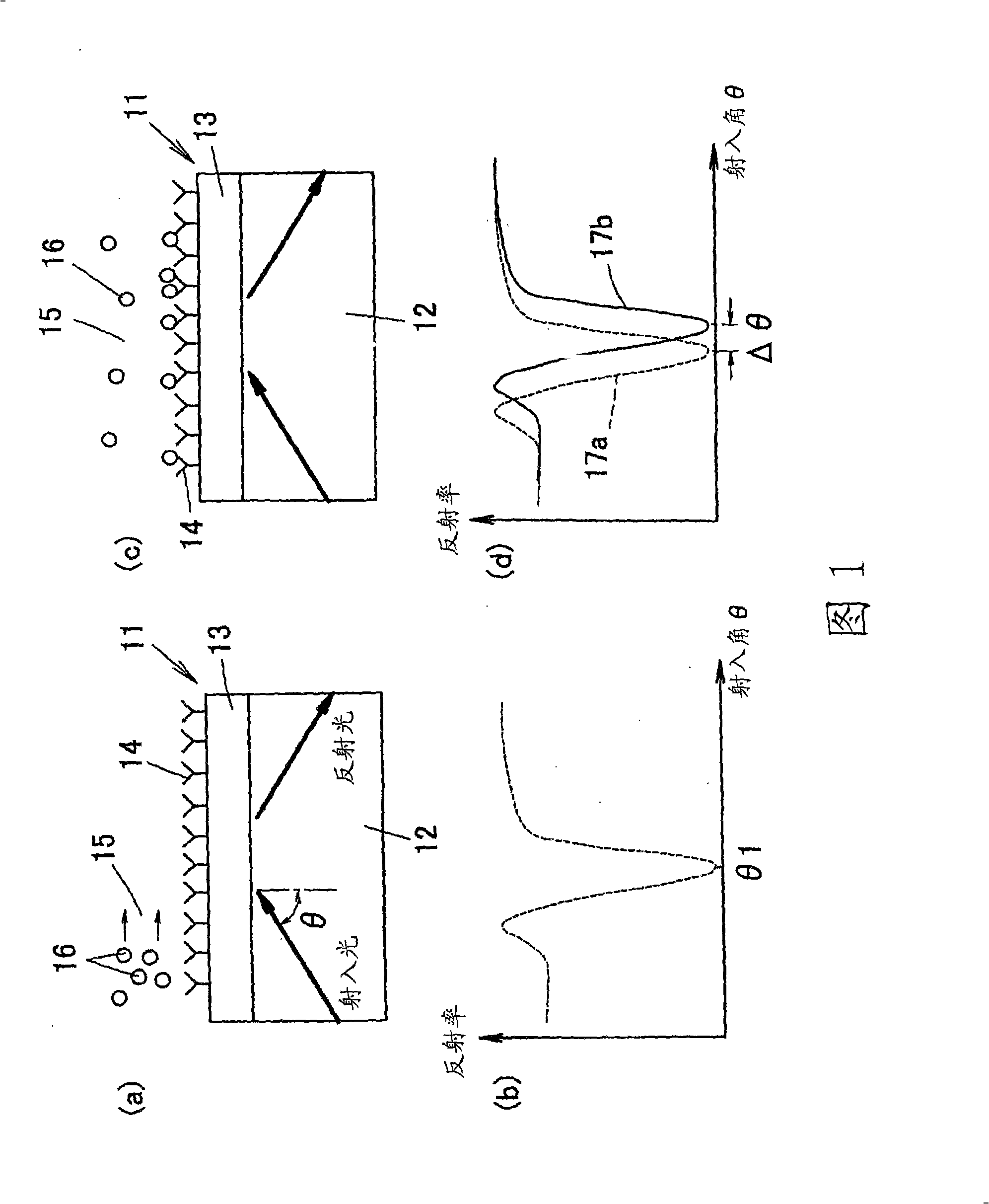 Surface plasmon resonance sensor and chip used for the same