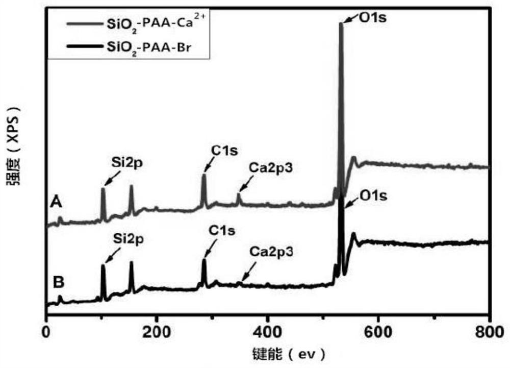 A kind of microspherical ion exchange anti-flash rust and anti-rust metal primer and preparation method thereof