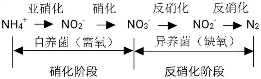 Modular railway train excrement collector excrement wastewater long-term treatment method