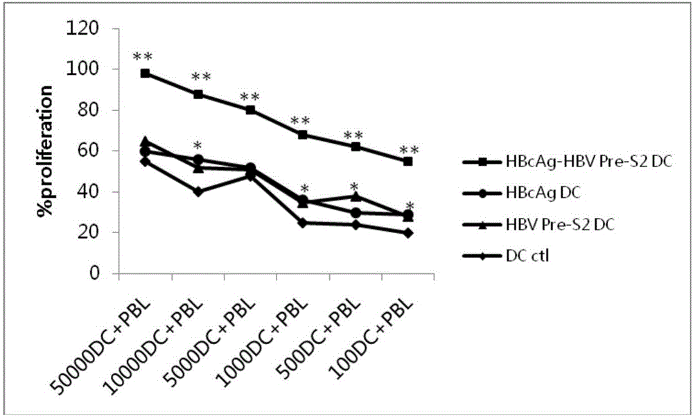 Antigen epitope peptide and application thereof