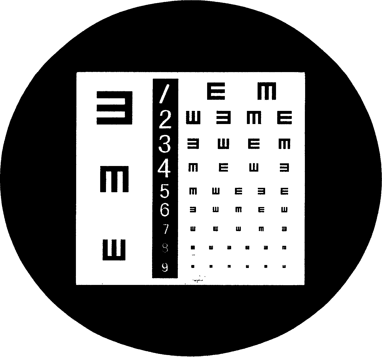 Optical system and detection method of transmission eyesight detecting instrument