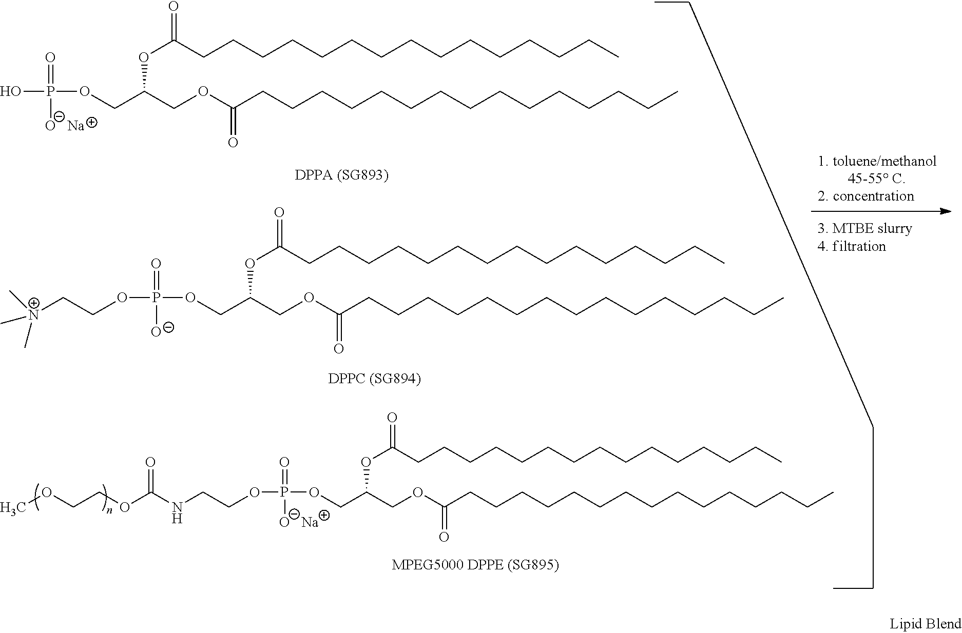 Preparation of a lipid blend and a phospholipid suspension containing the lipid blend