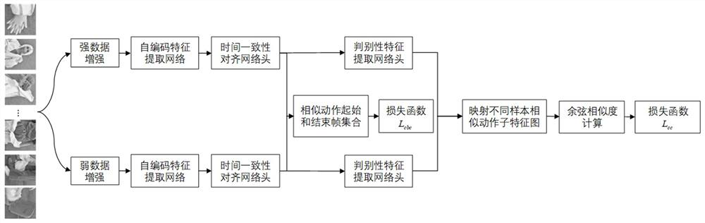 Motion normalization detection method and device based on time consistency contrast learning