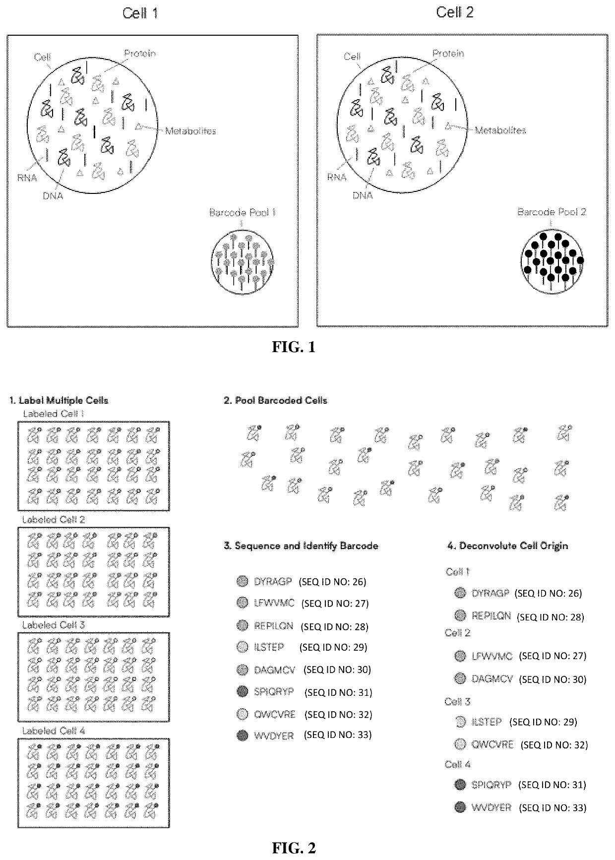 Methods of single-cell polypeptide sequencing