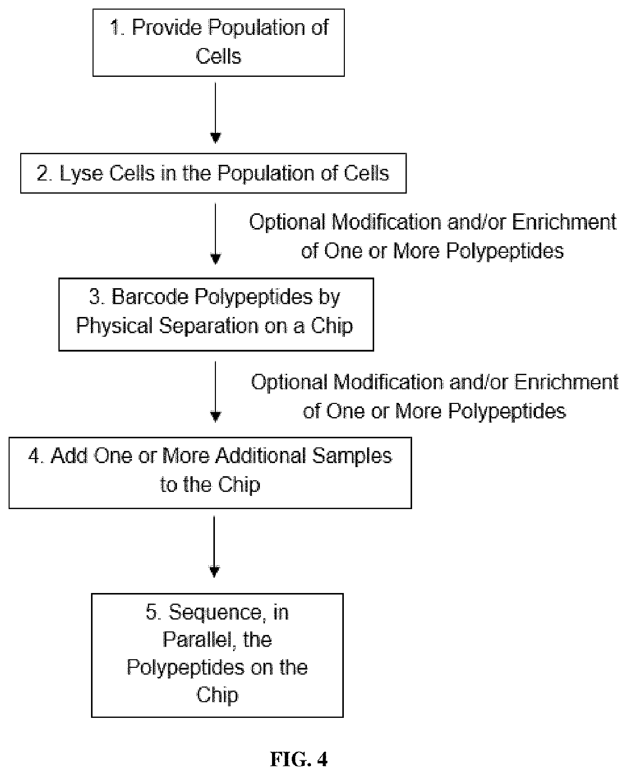 Methods of single-cell polypeptide sequencing