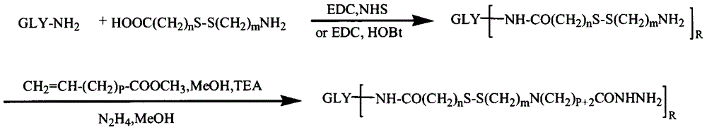 Preparation and application of dual-sensitivity amphiphilic polysaccharide-doxorubicin conjugate and pharmaceutical composition thereof