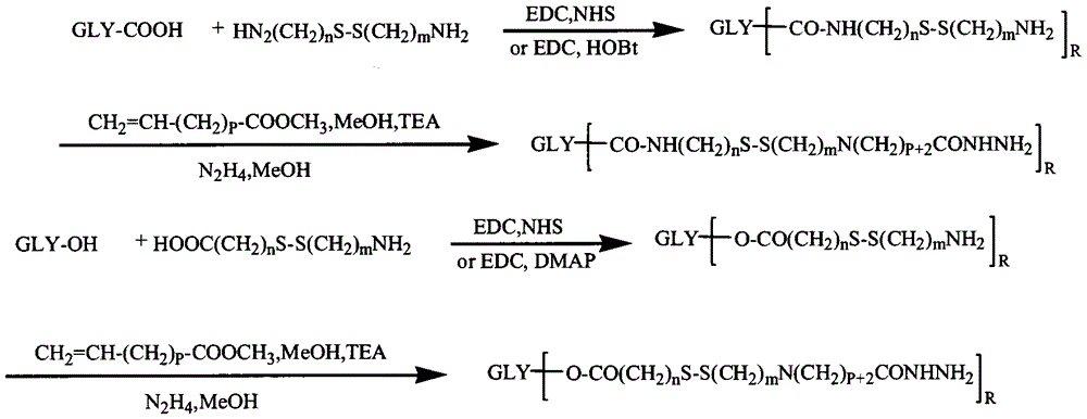 Preparation and application of dual-sensitivity amphiphilic polysaccharide-doxorubicin conjugate and pharmaceutical composition thereof