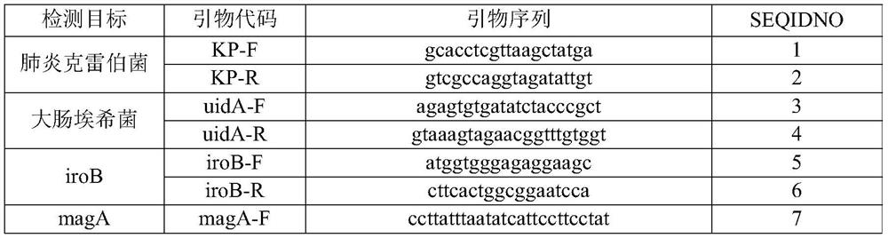 Nucleic acid reagents, kits, systems and methods for detecting Escherichia coli and Klebsiella pneumoniae and their toxicity and drug resistance