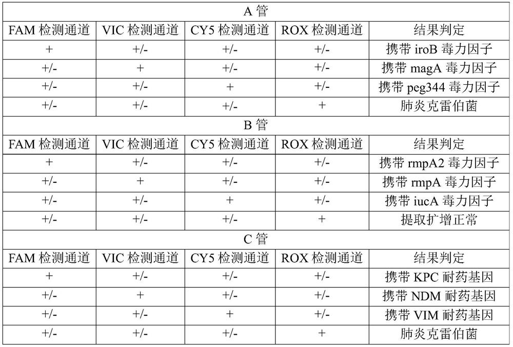 Nucleic acid reagents, kits, systems and methods for detecting Escherichia coli and Klebsiella pneumoniae and their toxicity and drug resistance