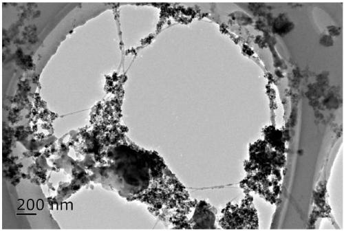 Fe3O4@bacterial cellulose/graphene oxide composite aerogel as well as preparation method and application thereof