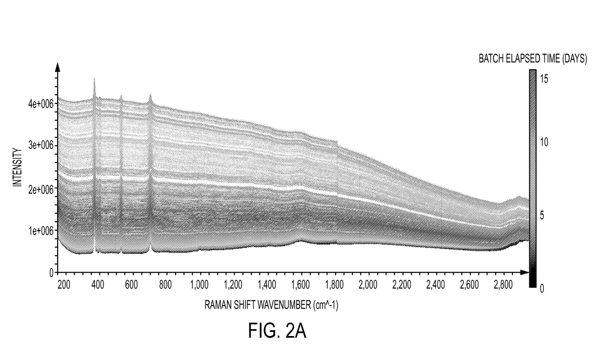 Cross-scale modeling of bioreactor cultures using raman spectroscopy