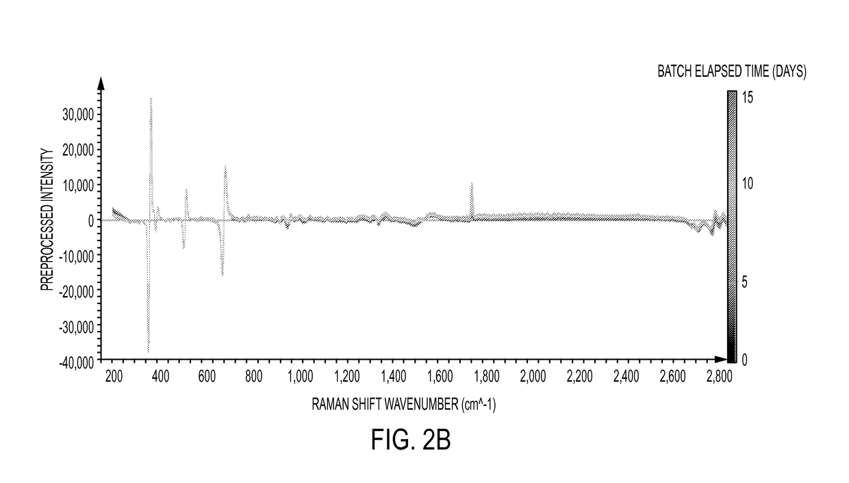 Cross-scale modeling of bioreactor cultures using raman spectroscopy