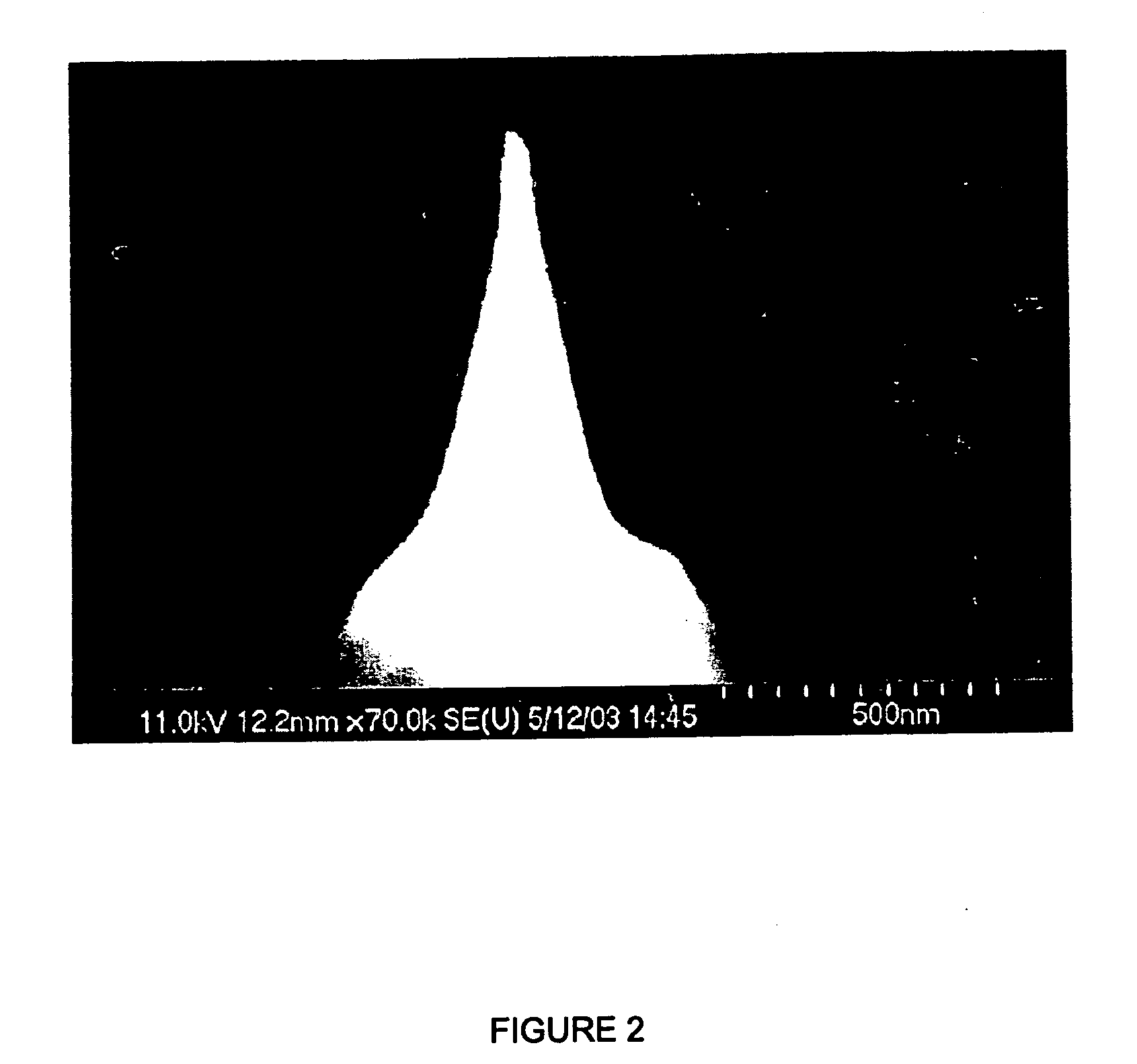 Method and system for the prediction of cardiac arrhythmias, myocardial ischemia, and other diseased condition of the heart associated with elevated sympathetic neural discharges