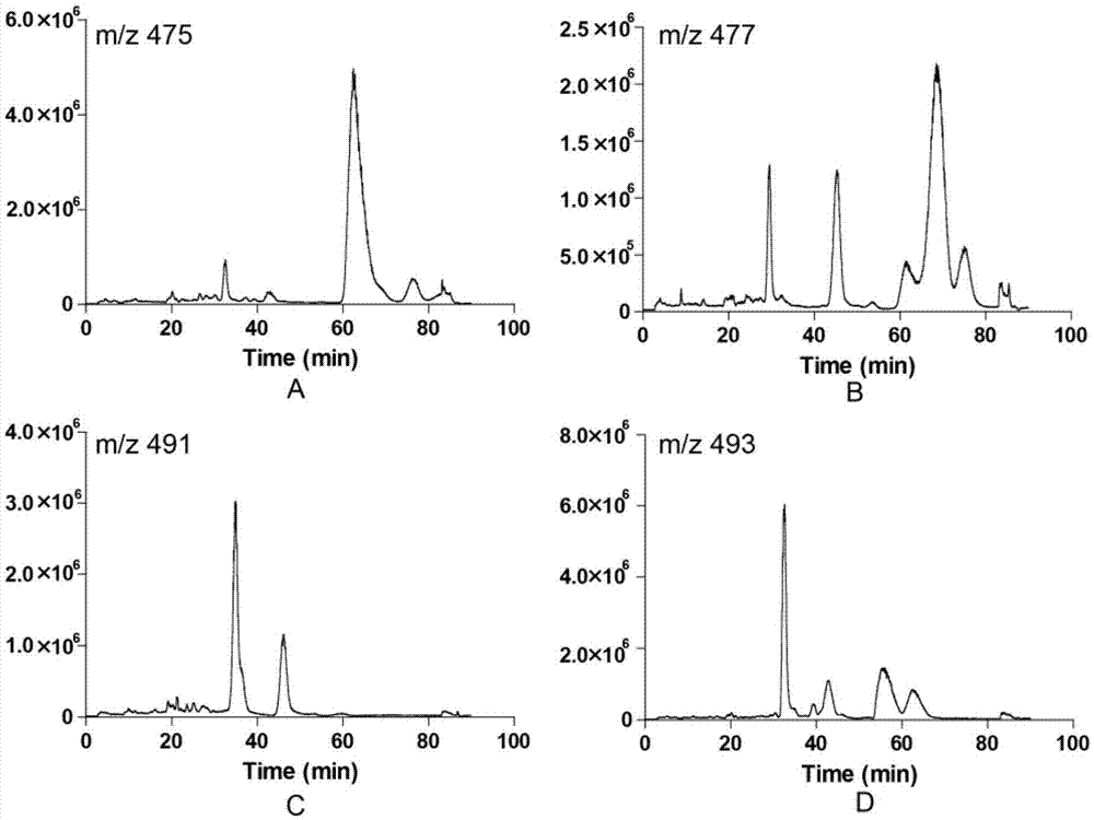 Method for separating and purifying in-vivo metabolites of protopanaxadiol