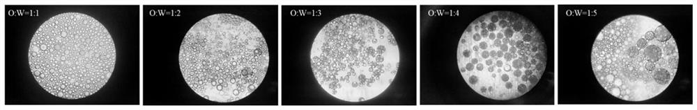 Method for preparing crown ether functionalized porous microsphere adsorbent by one-step double-emulsion template method