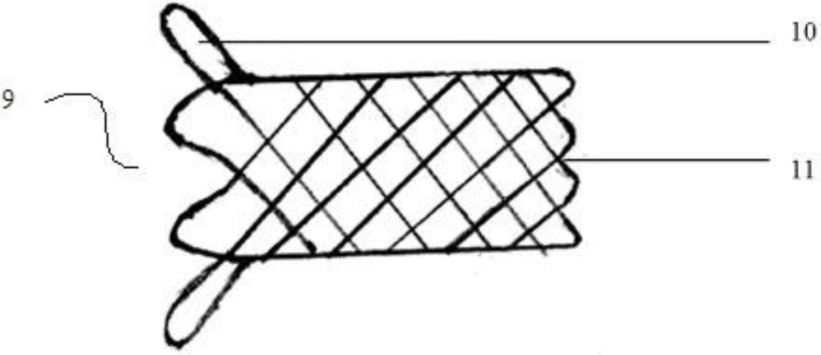 Aortic valve stent with coronary artery and conveyor of same