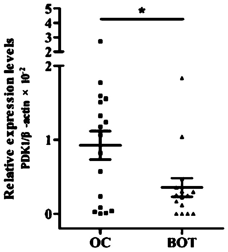 Ovarian cancer diagnosis or prognosis composition and application thereof