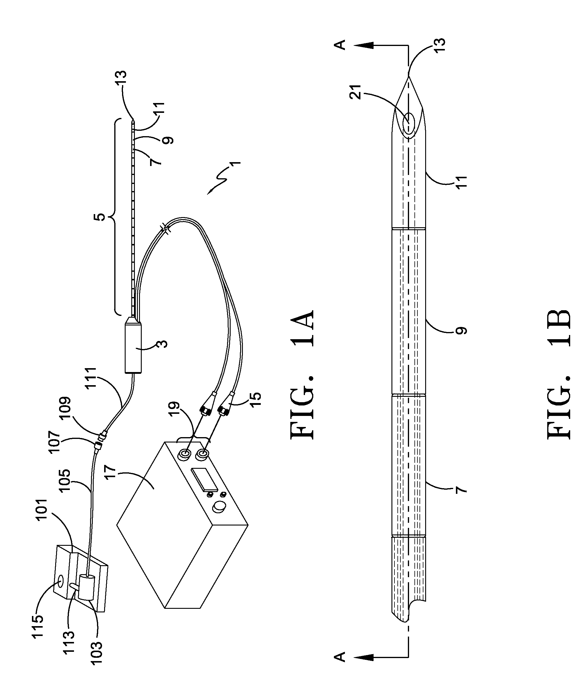 Irreversible electroporation and tissue regeneration