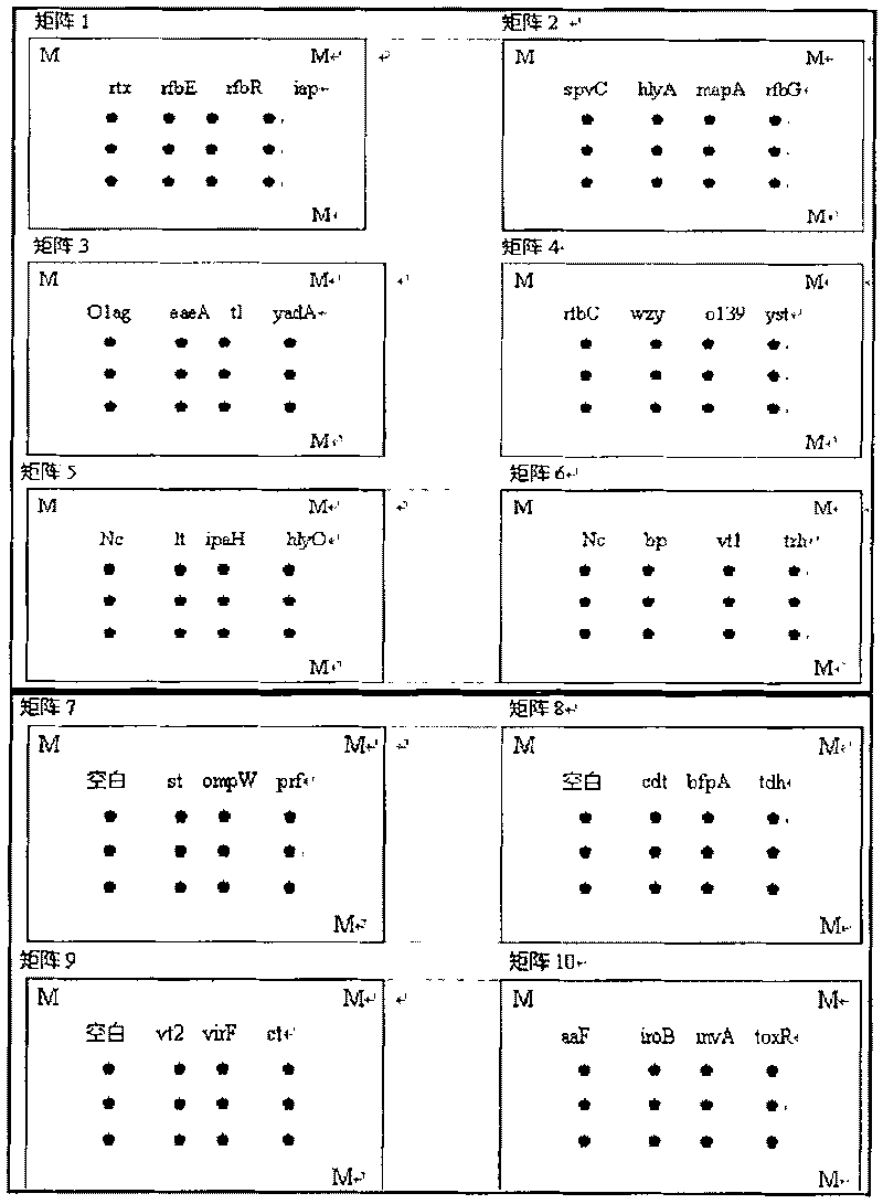 Pathogenic microorganism DNA detecting chip and preparation method