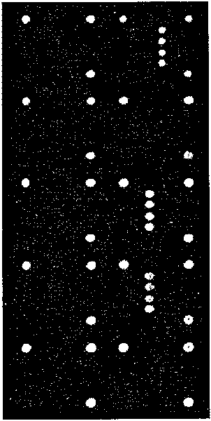 Pathogenic microorganism DNA detecting chip and preparation method